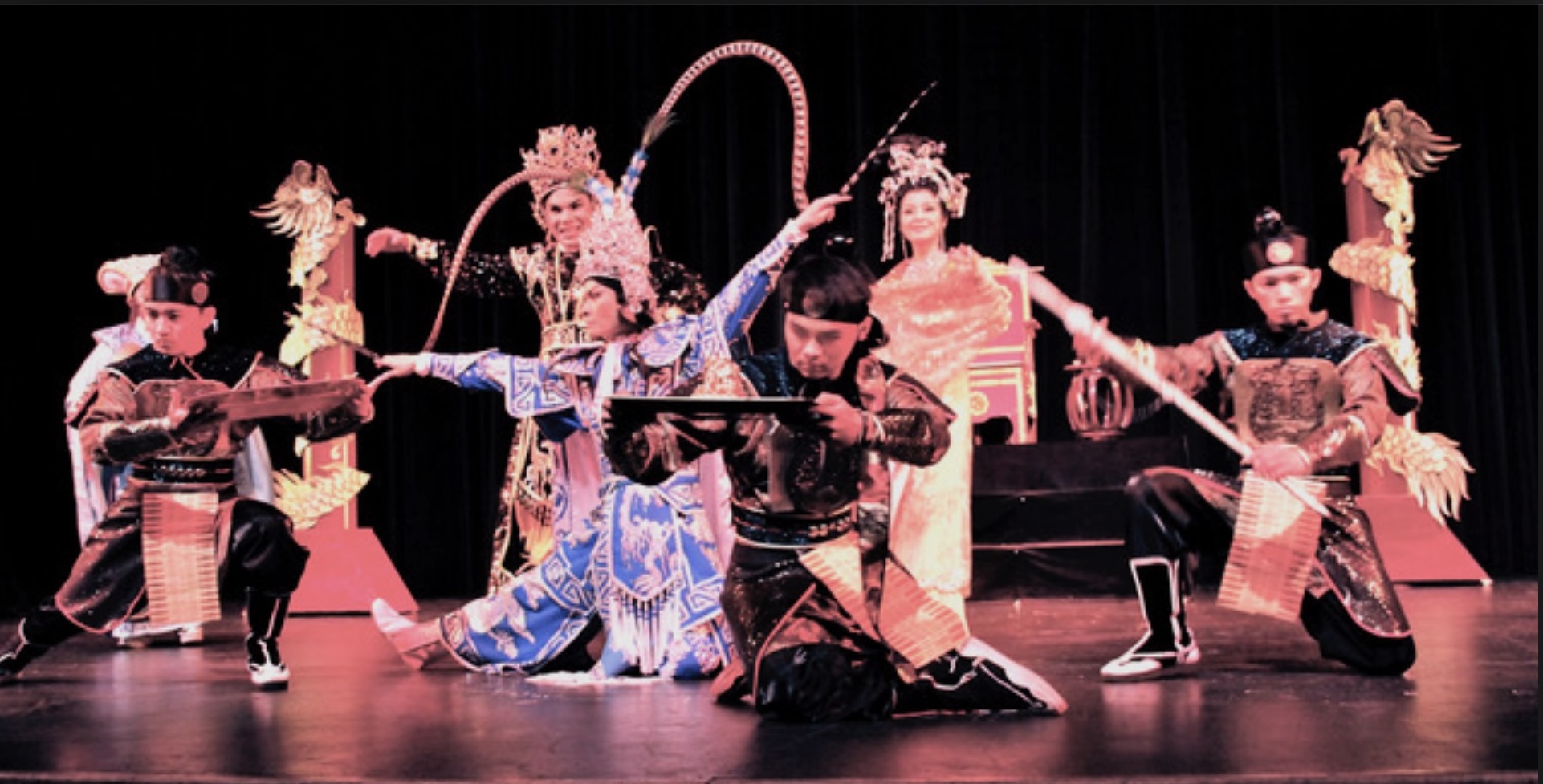 Tình Tri Âm performance photograph